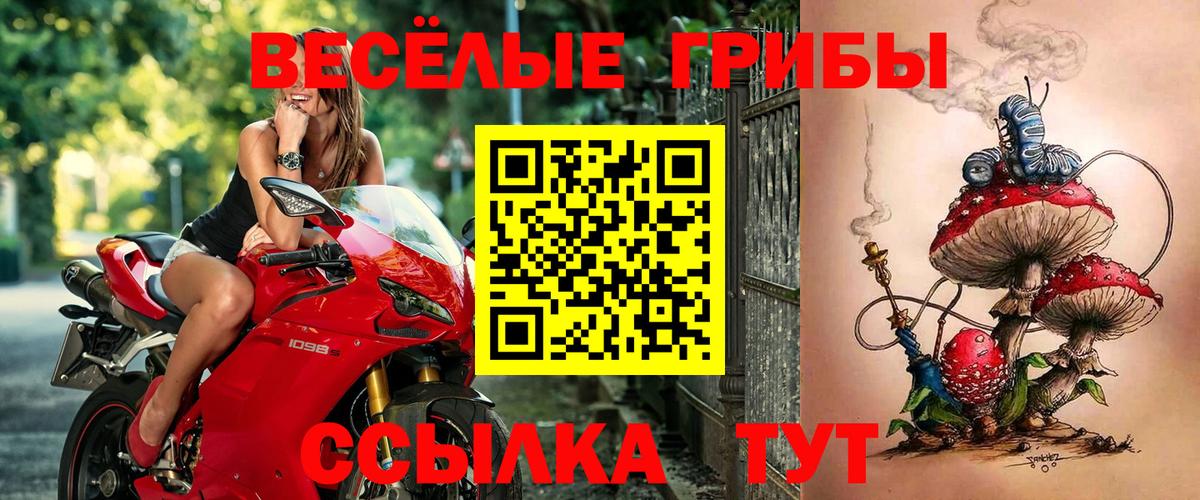 Псилоцибиновые грибы GOLDEN TEACHER Мытищи