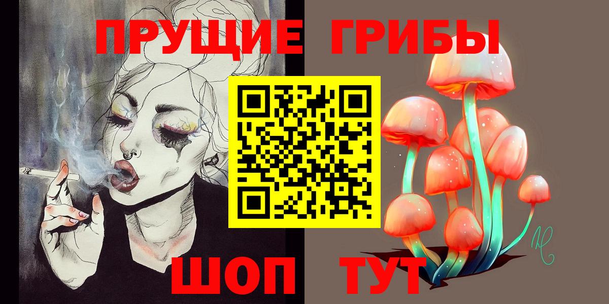 Галлюциногенные грибы Psilocybe  Вход с VPN  Мытищи 